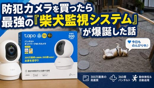 【柴犬監視カメラ】Tapo「C200」「C210」を導入設置した件
