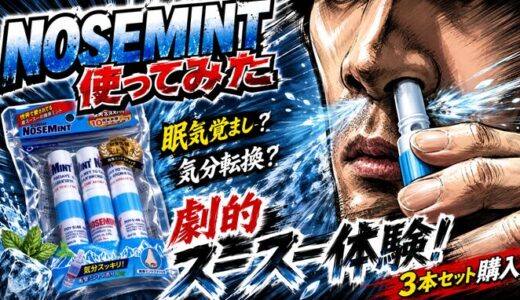【あれこれ】眠気覚ましや気分転換で話題のNOSEMINT（ノーズミント）3本セットを使ってみた